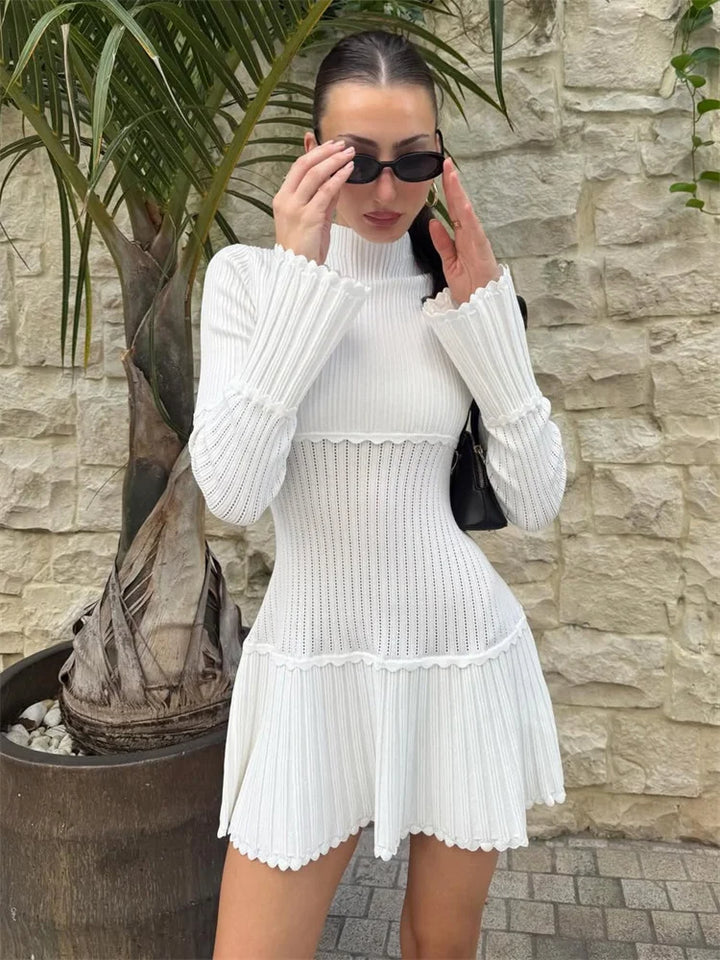 Women’s Ribbed Long Sleeve Mini Dress with High Neck